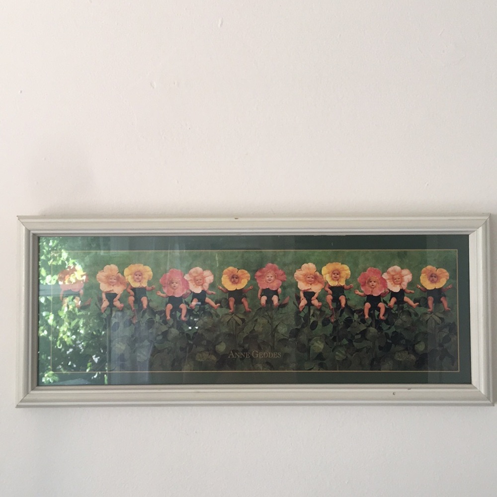 Anne Geddes “Wild Roses”
